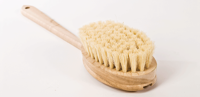 Give Dry Skin the Brush Off