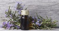 A Little Whiff Will Do Ya: Rosemary Oil May Help Boost Brain Power