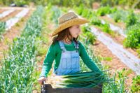 Grow Kids’ Appreciation for Local Food