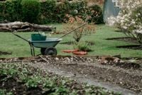 7 Ways to Get Your Garden Ready for Winter