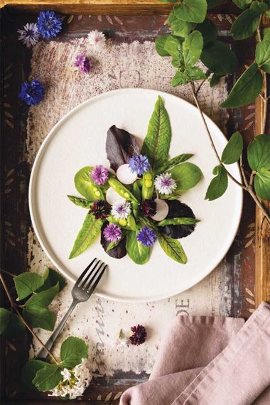 Mixed Greens with Pea, Asparagus, Sorrel, Radish, and Bachelor’s Buttons