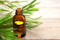 10 Tea Tree Oil Benefits for Health and Beauty